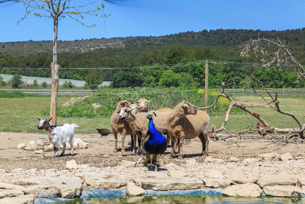 Lou Mas Li Pitchoun "Le Luberon " Villa Gordes Exteriör bild